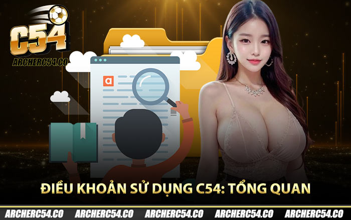 Điều khoản sử dụng C54: Tổng quan