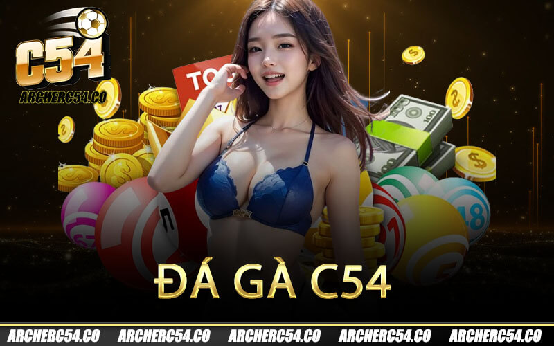 Đá gà C54